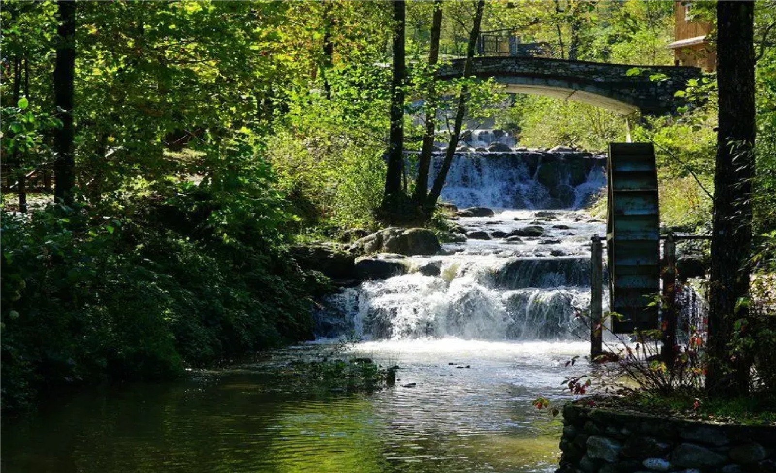Sapanca & Maşukiye Turu